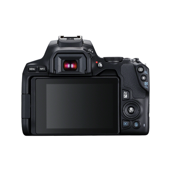 Canon EOS 250D + Objectif EF-S 18-55mm – Image 2