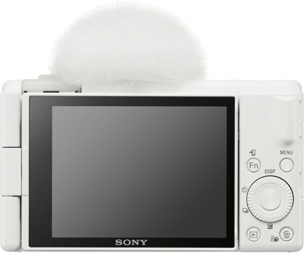 Sony ZV-1F – Image 2